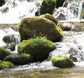 a0960_006453_m