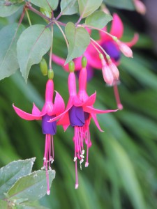 a0960_006779_m